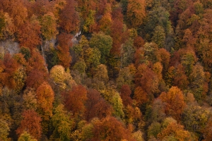 Herbstfarben am Uracher Wasserfall