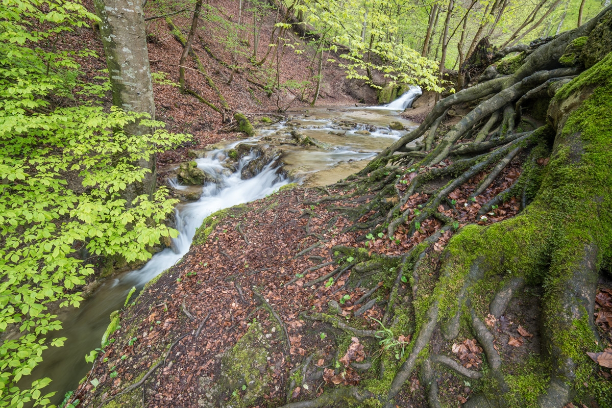 Brühlbach unterhalb Uracher Wasserfall