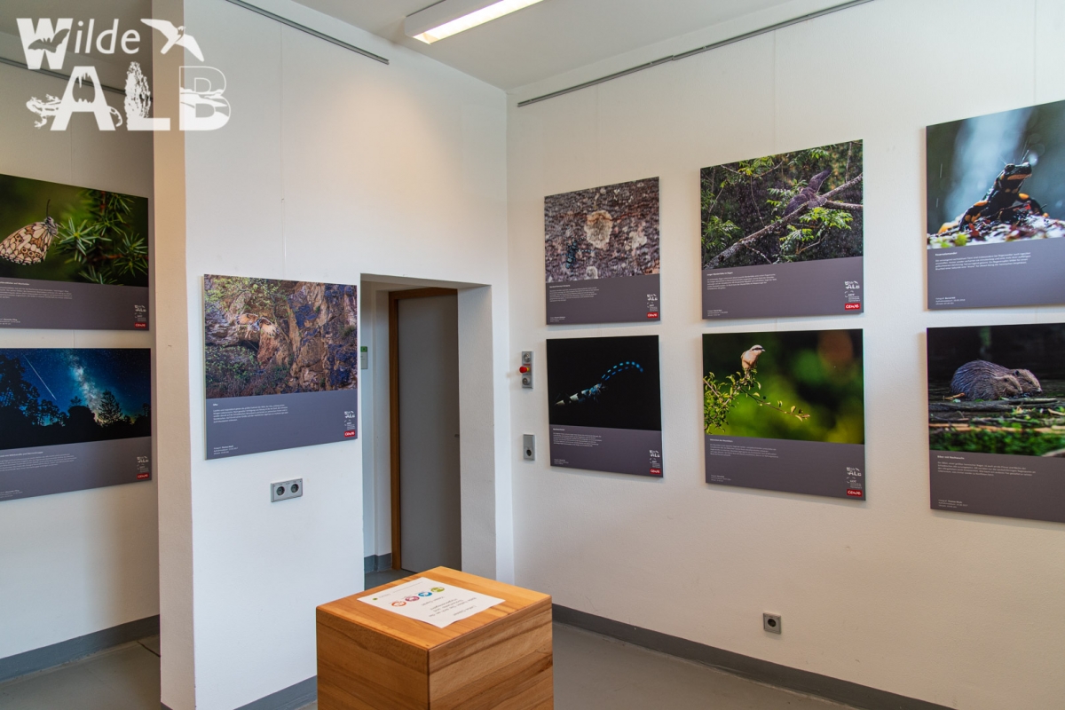 20200524_wilde_alb_ausstellung_münsingen_bioshpärenzentrum_005