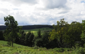 Meteorkraterrand bei Steinheim am Albuch
