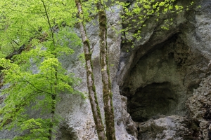 Halbhöhle im Oberen Donautal