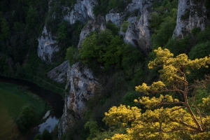 Stiegelesfels, Blick ins Obere Donautal