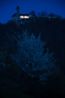 blaue Stunde mit Obstblüte vor Burg Teck, Doppelbelichtung