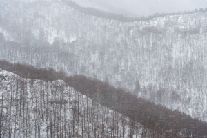 Blick vom Eppenzillfelsen auf Sattel vom Runden Berg im Schneeschauer