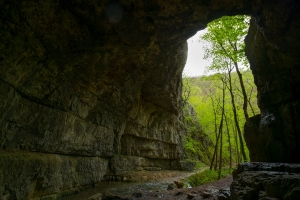 Falkensteiner Höhle
