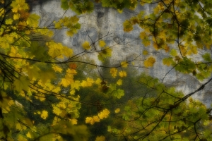 Herbstfarben an den Rutschenfelsen