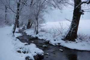 Brühlbachim Winter, Bad Urach