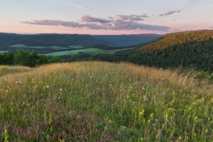 Kräuterwiese auf dem Lochen - Schwäbische Alb