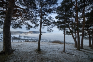 Wintermorgen am Hohenbol