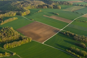 Frühling auf der Albhochfläche