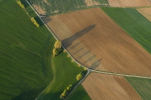 Frühling auf der Albhochfläche