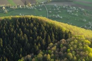 Frühling entlang des Albtraufs
