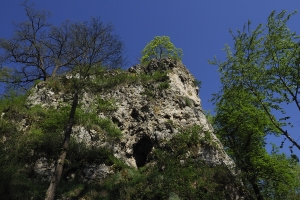 Karsthöhle Königsbronn