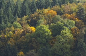Herbst am Schmittenberg bei Heidenheim
