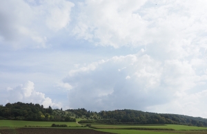 Meteorkraterrand bei Steinheim am Albuch
