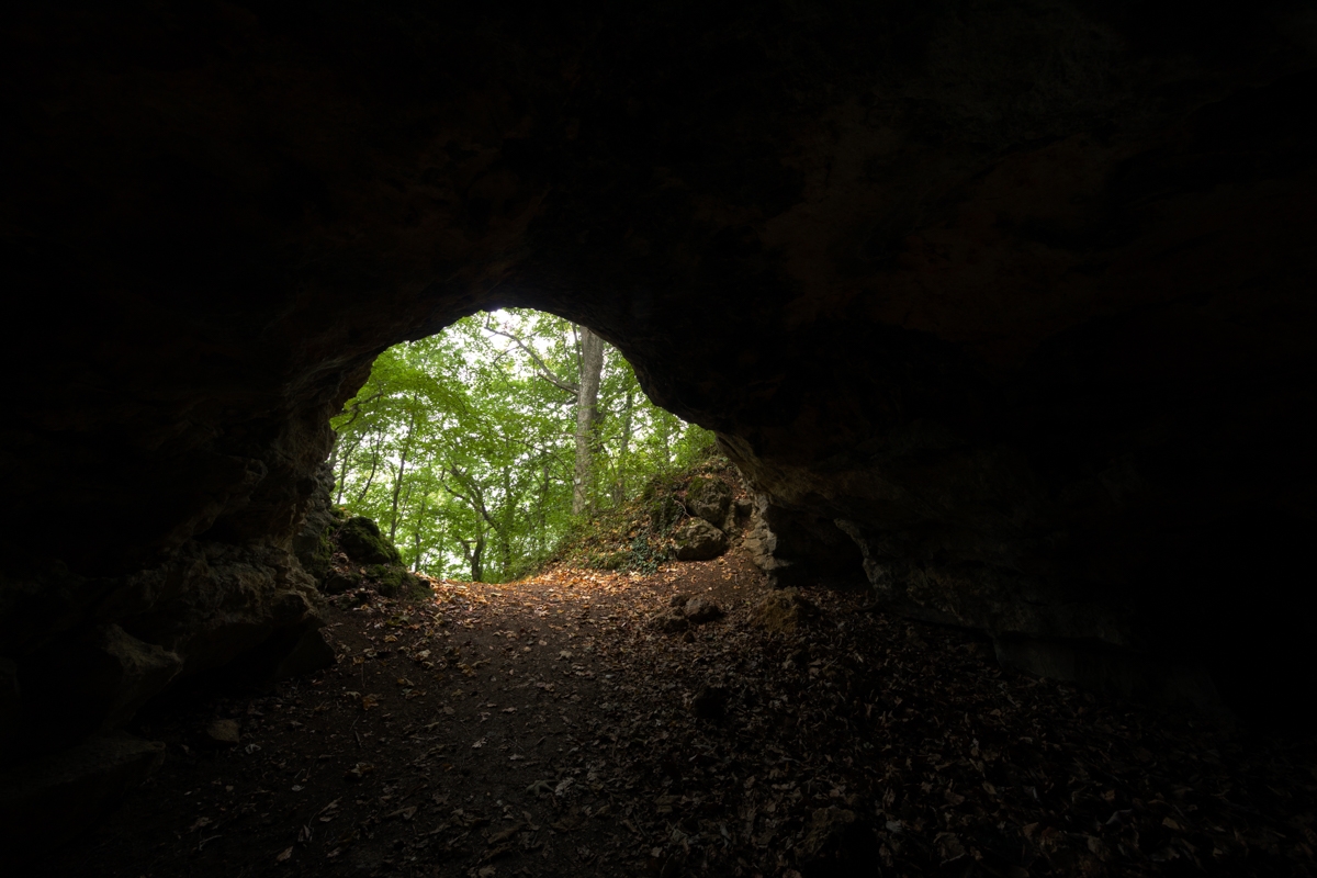 Blick aus der Barnberghöhle