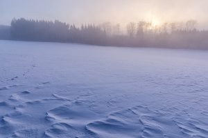 Schneedecke bei Eglingen bei nebligem Sonnenaufgang