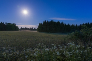 Vollmondnacht auf den Hülenbuchwiesen III