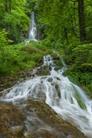 Uracher Wasserfall im Grün - Hochformat