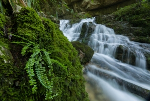 Wasserfall der Elsach mit Farn im Vordergrund