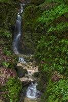 Wasserfall aus der Wolfsschlucht IV